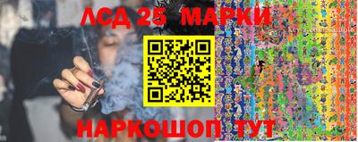 стафф Заволжье