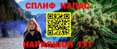 гашик Заводоуковск