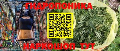 стафф Заволжье